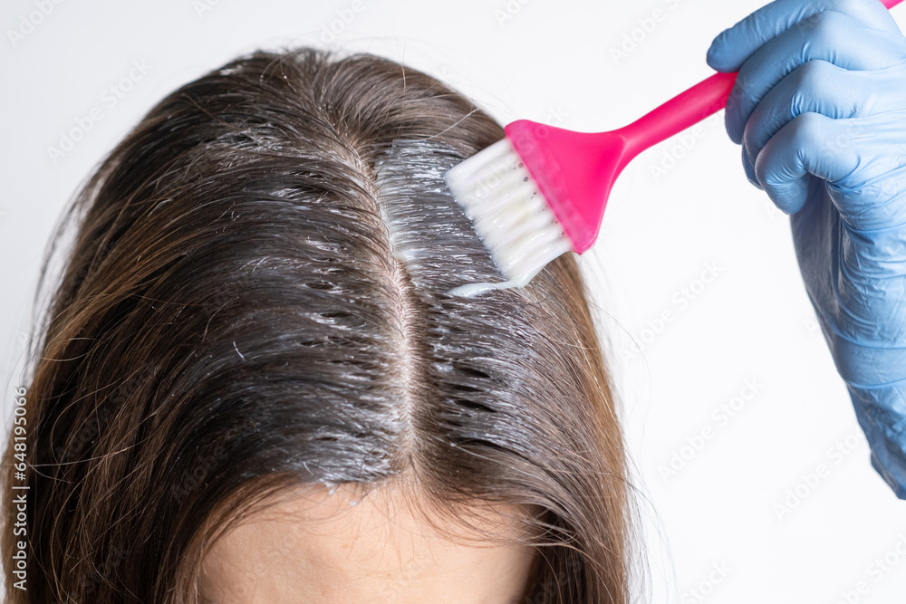 Fototapeta premium Close-up of a woman's heClose-up of a woman's head in the process of hair coloring on a white background. Closeup woman hands dyeing hair using a brush. Colouring of white hair at home.