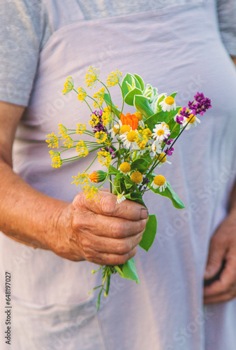 An old woman holds medicinal herbs and flowers in her hands. Selective focus.