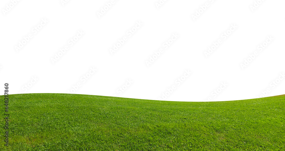 grassland, lawn Isolated on white background with clipping path