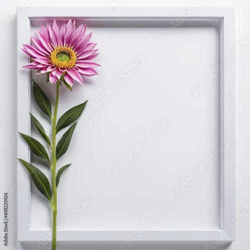 Flower in a white frame against a white background