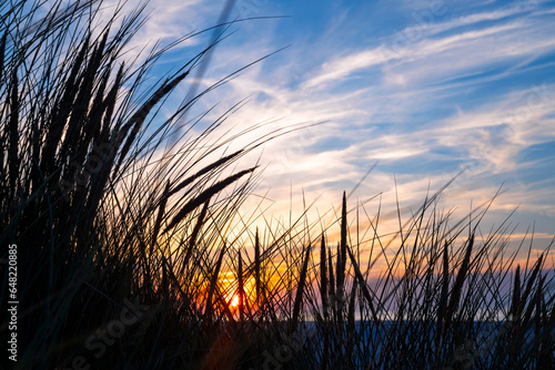 Colorful sunset on the east frisian coast of Germany, on Juist island. Popular holiday destination with protected nature, white beaches. Romantic evening twilight with silhouttes of marram grass. photo
