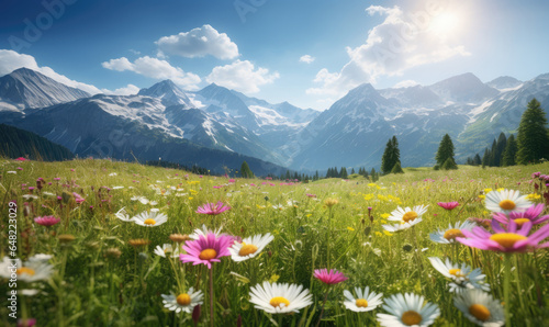 Breathtaking alpine landscape with vibrant wildflowers