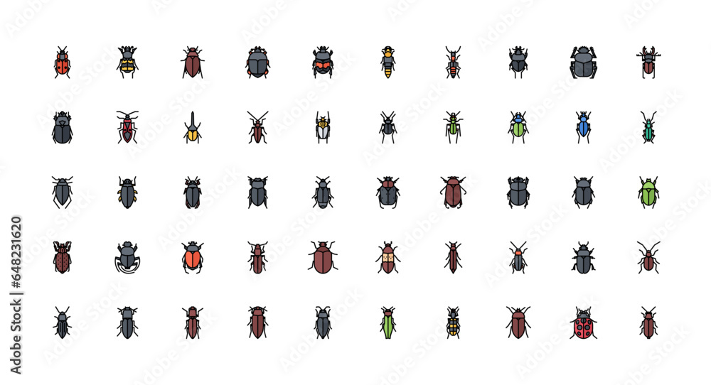 Naklejka premium beetle icons