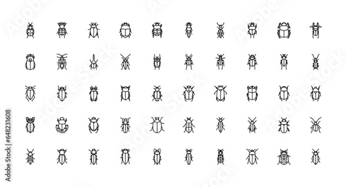 beetle icons