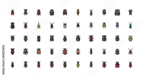 beetle icons