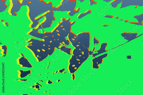 Libellule maculate con verde