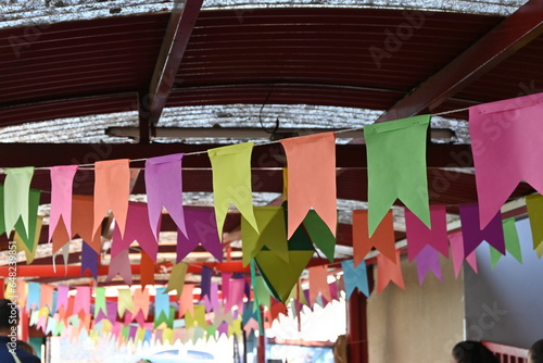 Junine party flags