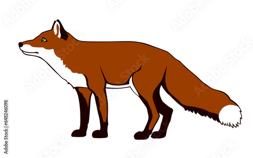 Fox