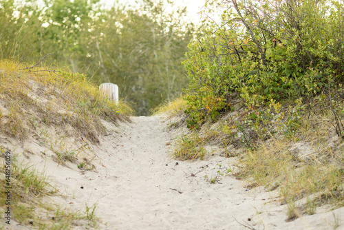 Sandy Path to the Lake