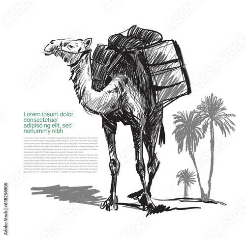 Camel Art illustration Vector.