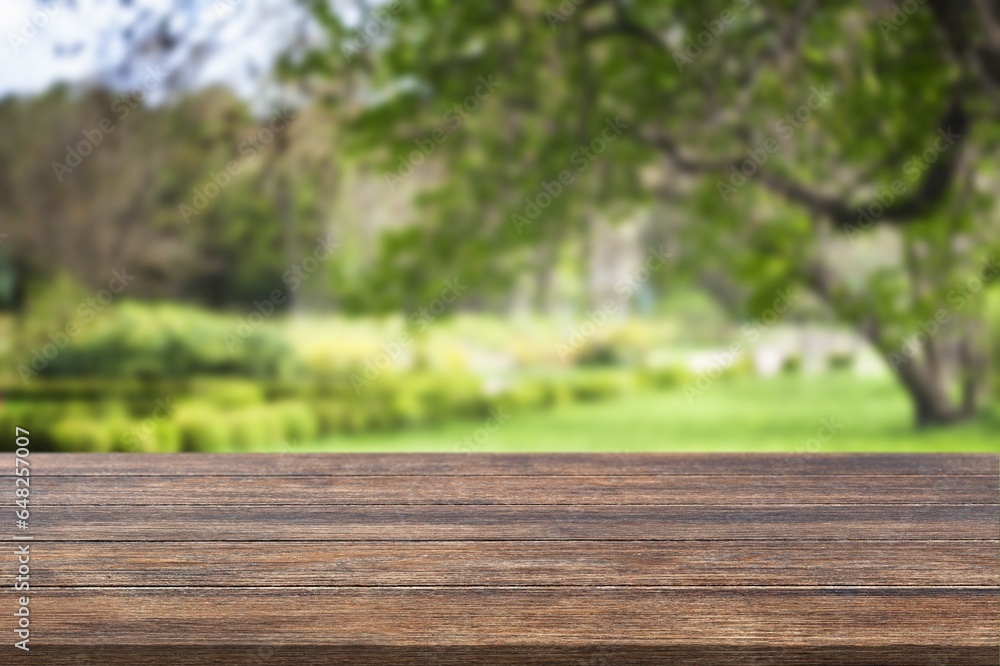 Empty blank wood table on nature background. Empty blank wood table on nature background.