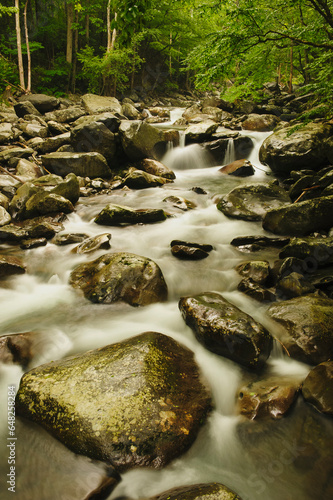 A river running through great smoky mountains national park; Tennessee united states of america