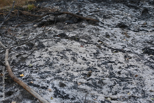 Tableau sur toile black scorched field as a background, scorched earth, the aftermath of a meadow