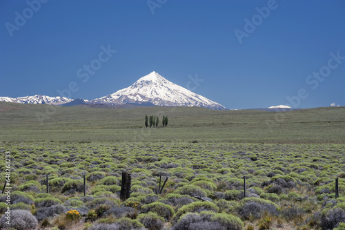 Lanin Volcano; Neuquen Province, Argentina photo