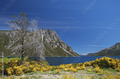 Nahuel Huapi Lake; Bariloche, Argentina photo