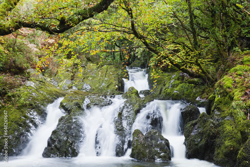 A Waterfall In Glengarriff Forest In Autumn; County Cork, Ireland photo