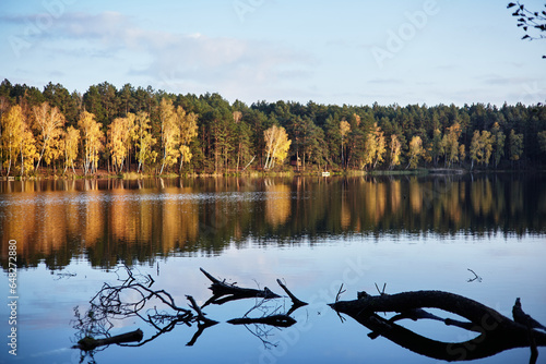 Autumn landscape. The tree fell into the water.