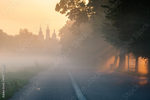 Tree alley along Blonia meadow in Krakow, Poland, with St Mary's church and Town Hall towers in the background, foggy morning