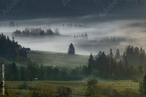 Misty mountain forest landscape in the morning, Poland.