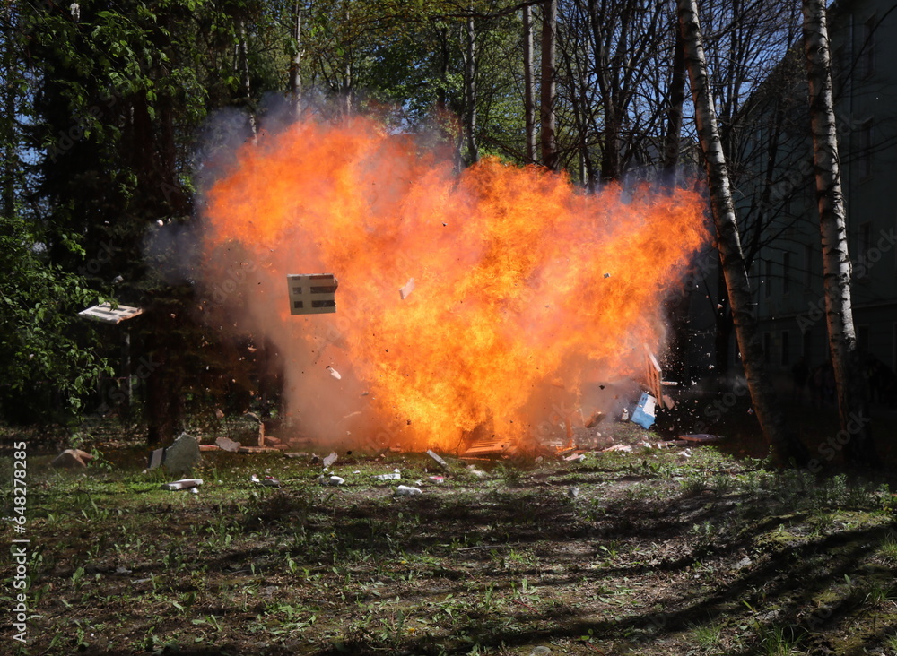 The moment of explosion. Fire from a large explosion between green trees
The moment of explosion. Fire from a large explosion between green trees