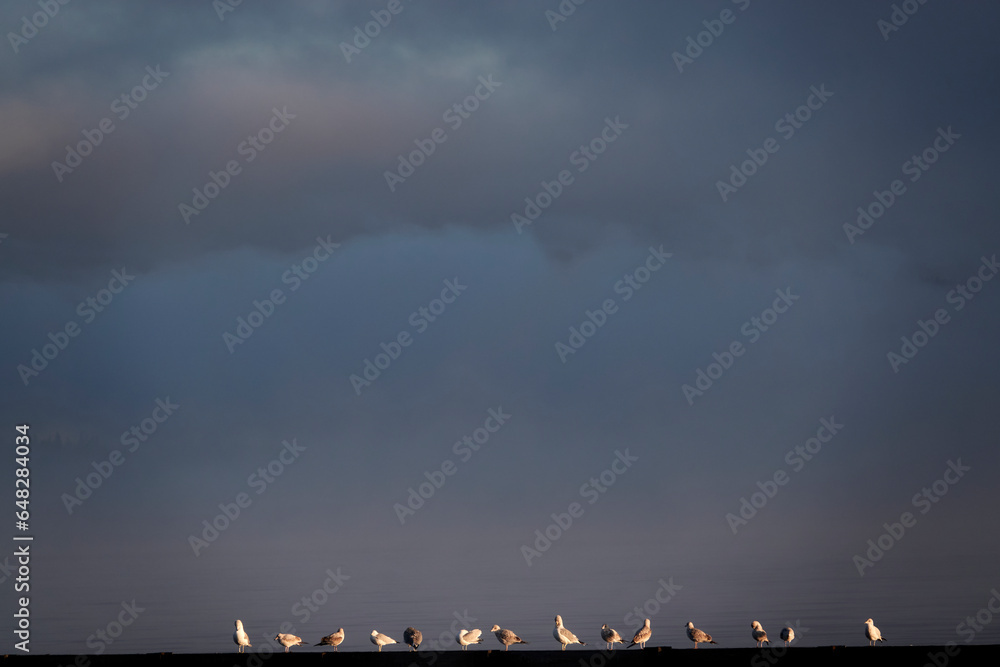 Early Morning, Lake, Yellowstone National Park Beauty of Nature in the USA, World Heritage Early Morning, Lake, Yellowstone National Park Beauty of Nature in the USA, World Heritage