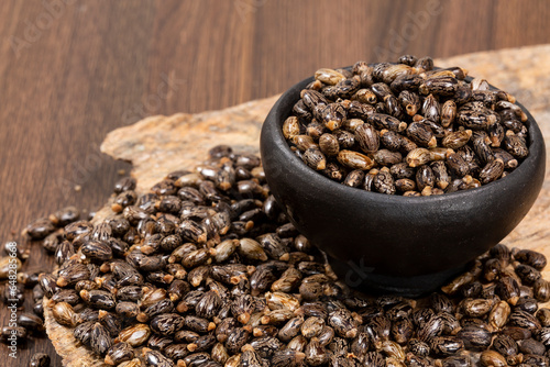 Obraz na plátně Ricinus Communis – Dried Seeds Of The Fruit Of The Castor Bean Plant