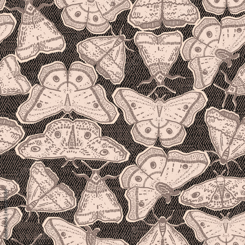 Magical moth pattern in warm dark autumn colors. Hand-drawn blush butterflies on the dark background. Insects illustration with alchemy look. Great for Halloween or fall decor. Seamless vector design.