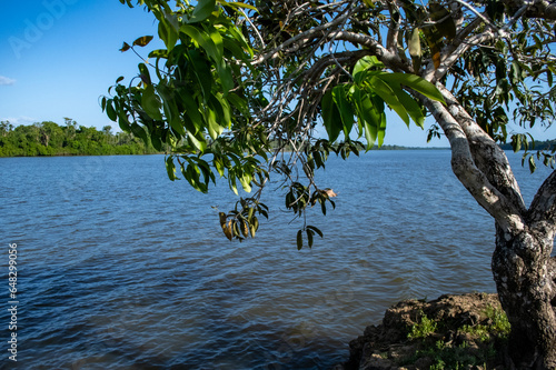Rio Jari município de Vitório do Jari na Amazônia. 