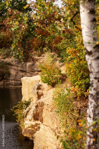 autumn landscape - a colorful tree on a rock