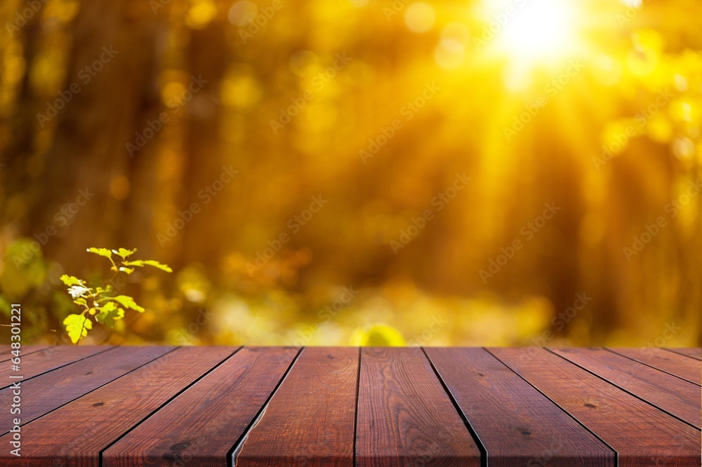 Empty blank wood table on nature background.