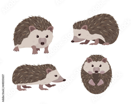 Set of Hedgehog icons in different poses. Wild mammal forest animal characters. Prickly hedgehog animals. Vector illustration isolated on white background.