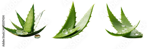 Png Set Aloe vera leaves with sliced extract arranged on transparent background
