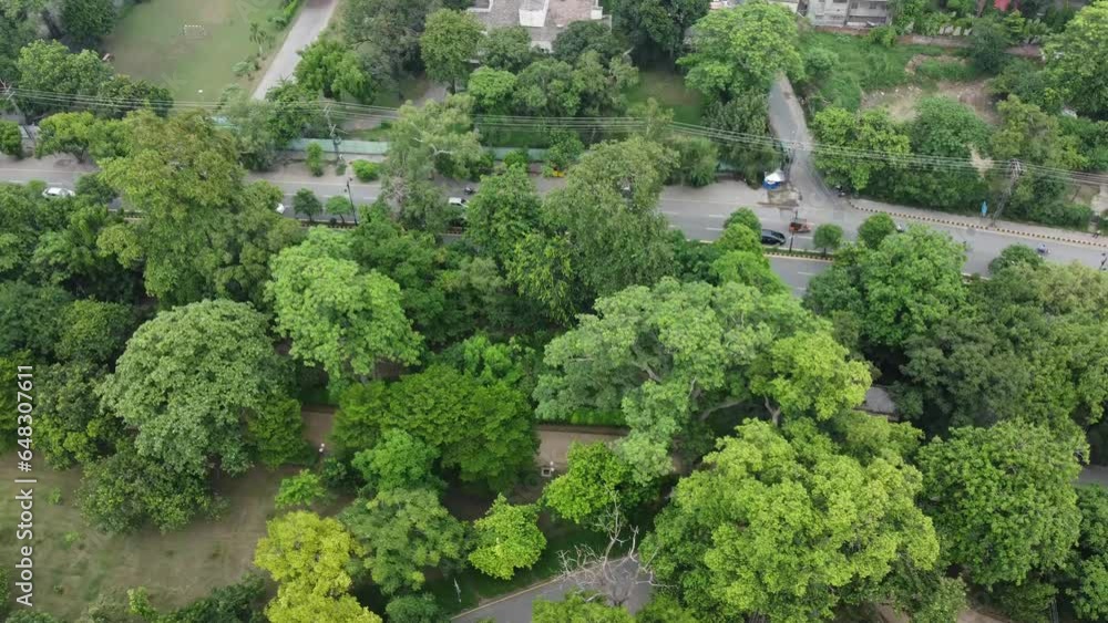 aerial view of gardens in a city aerial view of gardens in a city