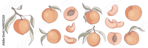 Set of peaches and fruit pieces. Vector graphics.