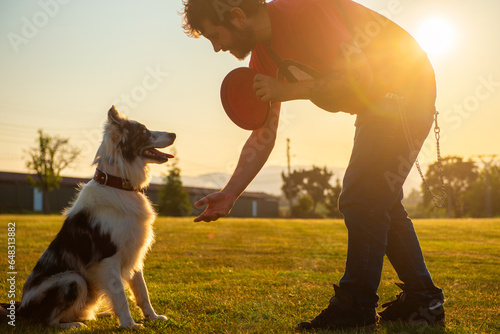 white man training his border collie dog to shake his paw. Pet and owner enjoying a sunny day in the countryside
