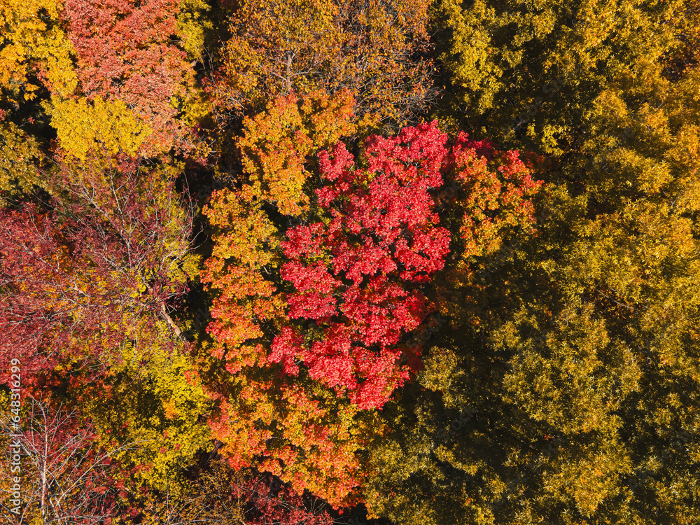 Aerial Drone View of Autumn Wisconsin