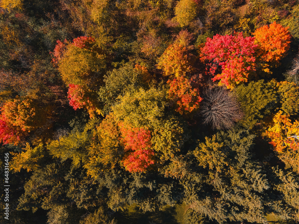 Aerial view high up in Autumn Wisconsin