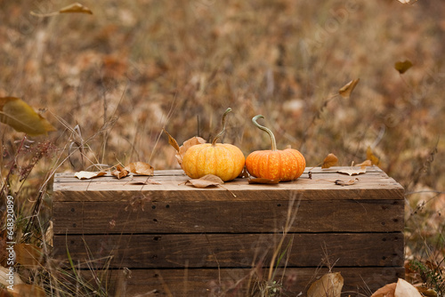 Pumpkins on a Rustic Bench with Leaves