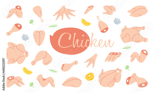 Chicken set. Butcher shop. Chicken farming products. Whole chicken, brisket wing, fillet, ham, leg, breast, shank, drumstick. Vector illustration.