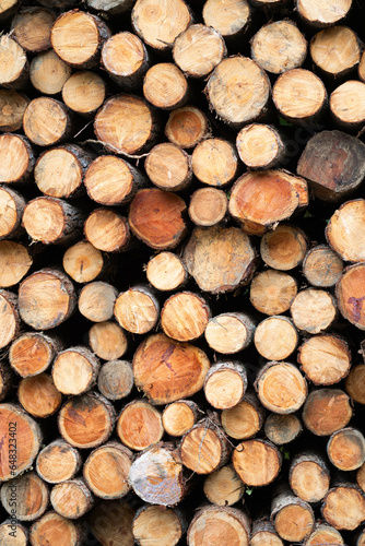 a pile of logs stacked in the sawmill