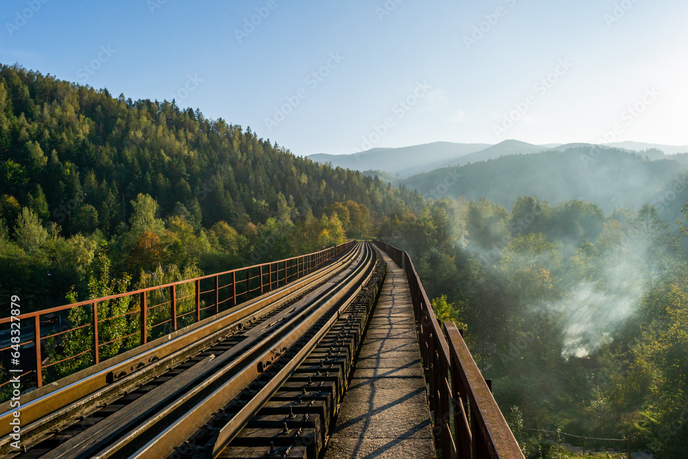 Railway bridge over mountains and forest