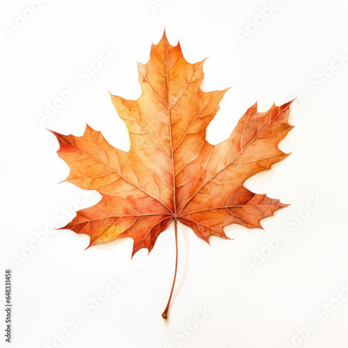 Fall Leaf Watercolor Illustration on a White Background