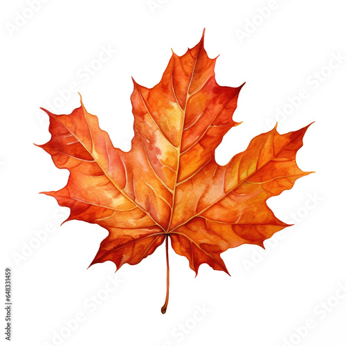 Fall Leaf Watercolor Illust...