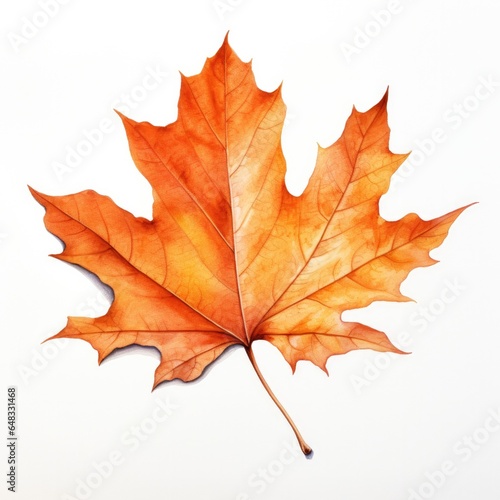 Fall Leaf Watercolor Illust...