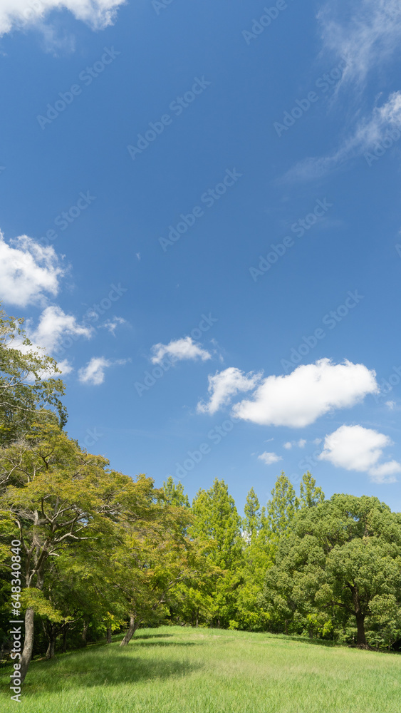 日本の夏の風景|樹木と青空 日本の夏の風景|樹木と青空