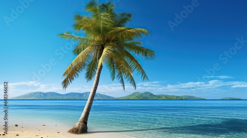 potrait Beautiful tropical beach desert island with white sand coconut trees and turquoise sea