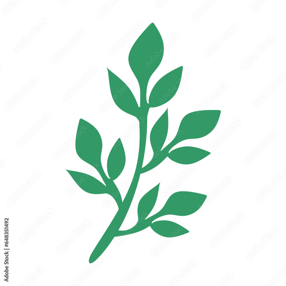 Green modern monstera leaf vector element