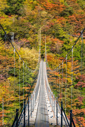 紅葉の畑薙大吊橋