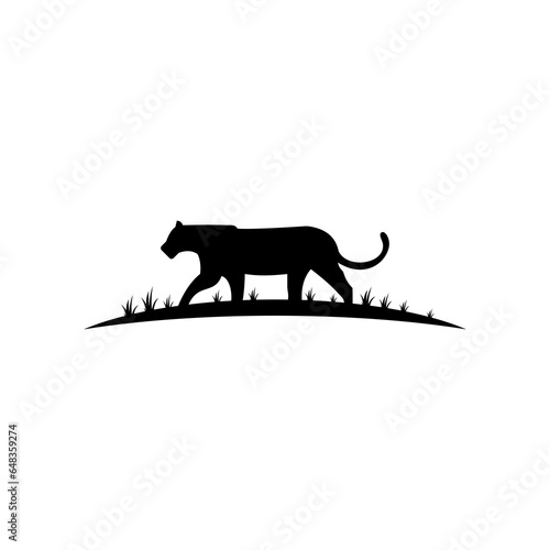 The tiger lies on the grass and looks sadly into the distance