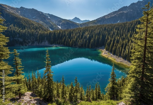 A mountain lake surrounded by pine trees